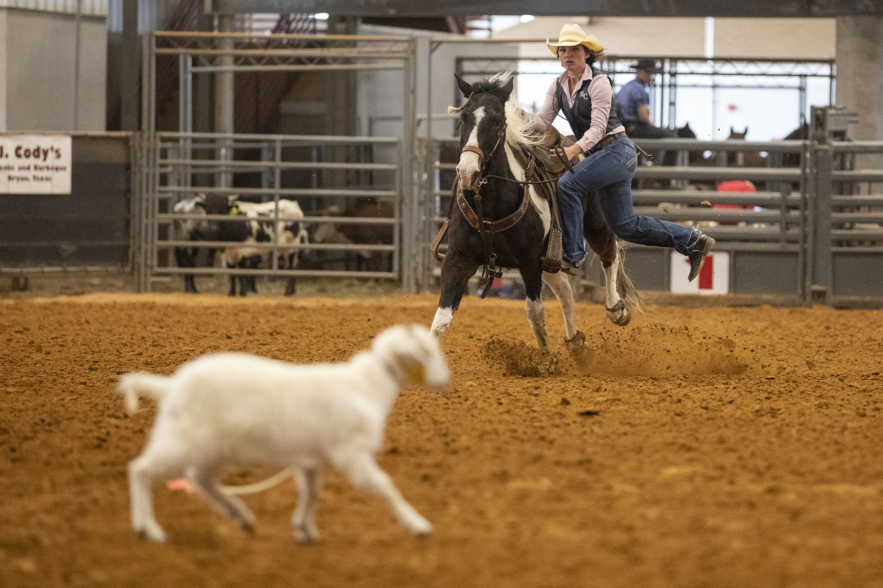 Texas A&M NIRA Rodeo
